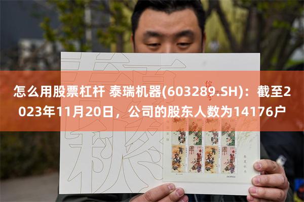 怎么用股票杠杆 泰瑞机器(603289.SH)：截至2023年11月20日，公司的股东人数为14176户