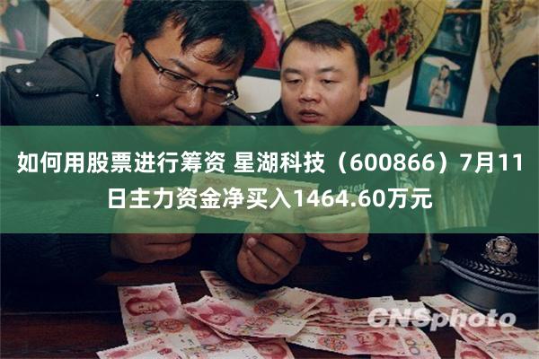 如何用股票进行筹资 星湖科技（600866）7月11日主力资金净买入1464.60万元