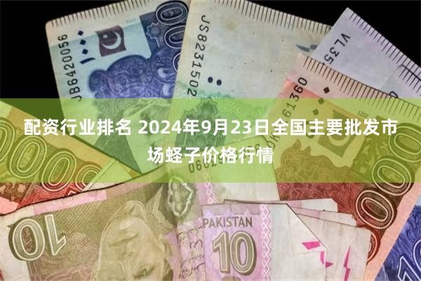 配资行业排名 2024年9月23日全国主要批发市场蛏子价格行情