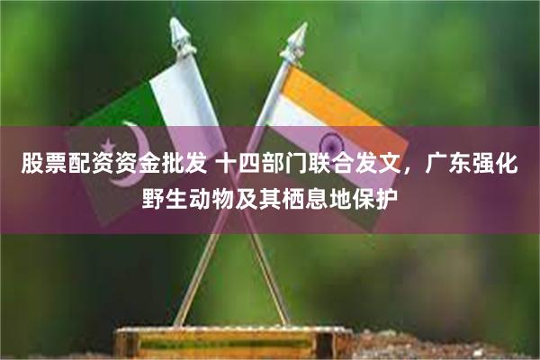 股票配资资金批发 十四部门联合发文，广东强化野生动物及其栖息地保护