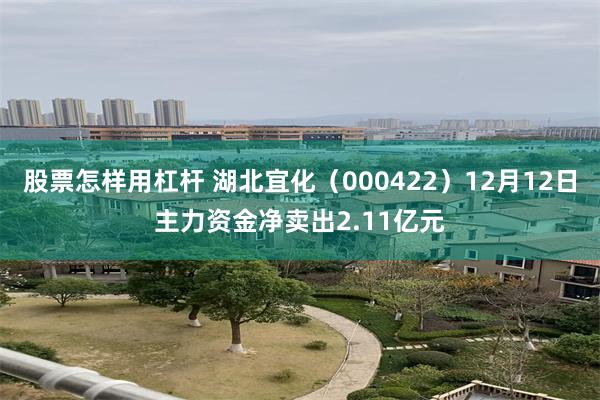 股票怎样用杠杆 湖北宜化（000422）12月12日主力资金净卖出2.11亿元