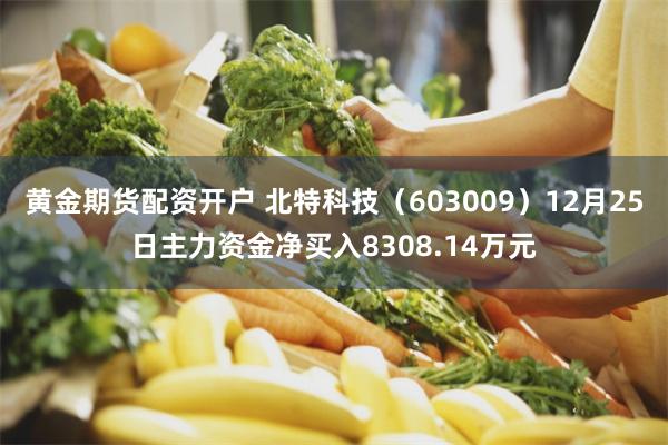 黄金期货配资开户 北特科技（603009）12月25日主力资金净买入8308.14万元