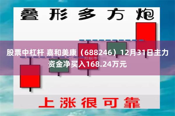 股票中杠杆 嘉和美康（688246）12月31日主力资金净买入168.24万元