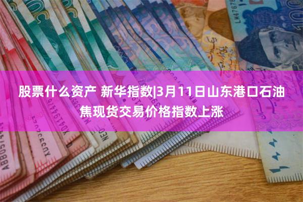 股票什么资产 新华指数|3月11日山东港口石油焦现货交易价格指数上涨